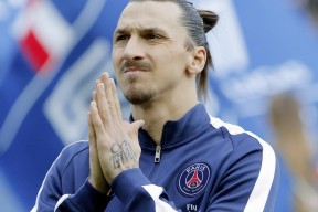 新手入门指南：完美体育