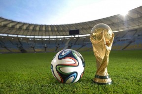 全面解析：完美体育官网