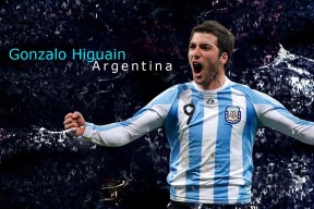 完美体育品牌APP下载与功能解析